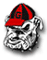 georgiabulldogs