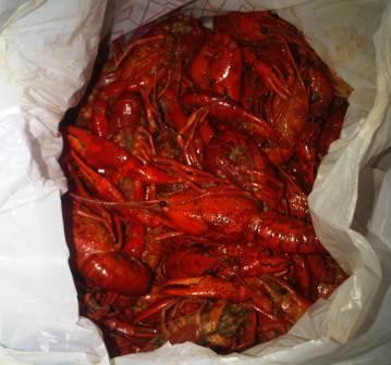 crawdads