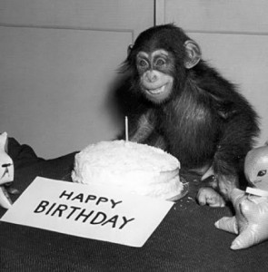 chimp-birthday