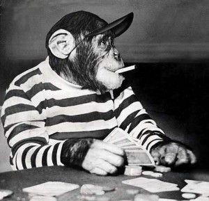 chimp_playing_poker_smoking